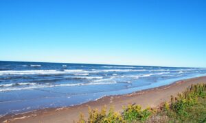 Read more about the article More shoreline protection for 2 western P.E.I. parks coming this winter