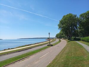 Read more about the article Oyster industry reps at Summerside conference seek solutions to MSX outbreak