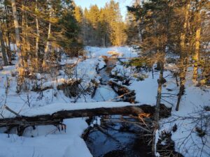 Read more about the article Special weather statement issued for P.E.I.’s Prince County due to weekend storm