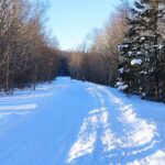 Snowy conditions shut down schools, delay services across P.E.I.