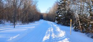 Read more about the article (Photos) P.E.I.’s wild weekend snowstorm